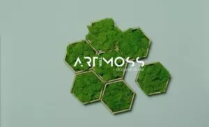 Art Wall Moss Felsefemiz