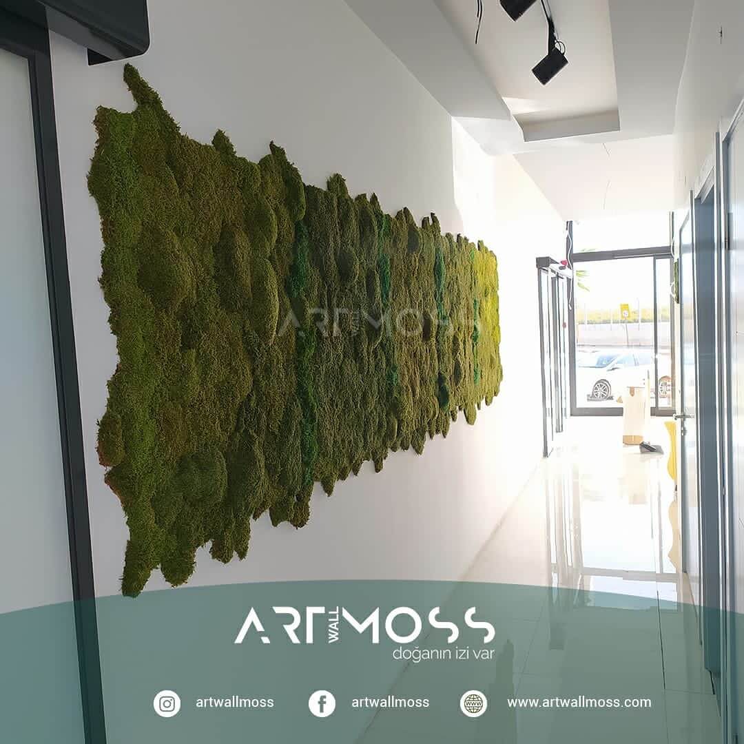 Yosun Duvar Art Wall Moss Yosun Duvar Art Wall Moss