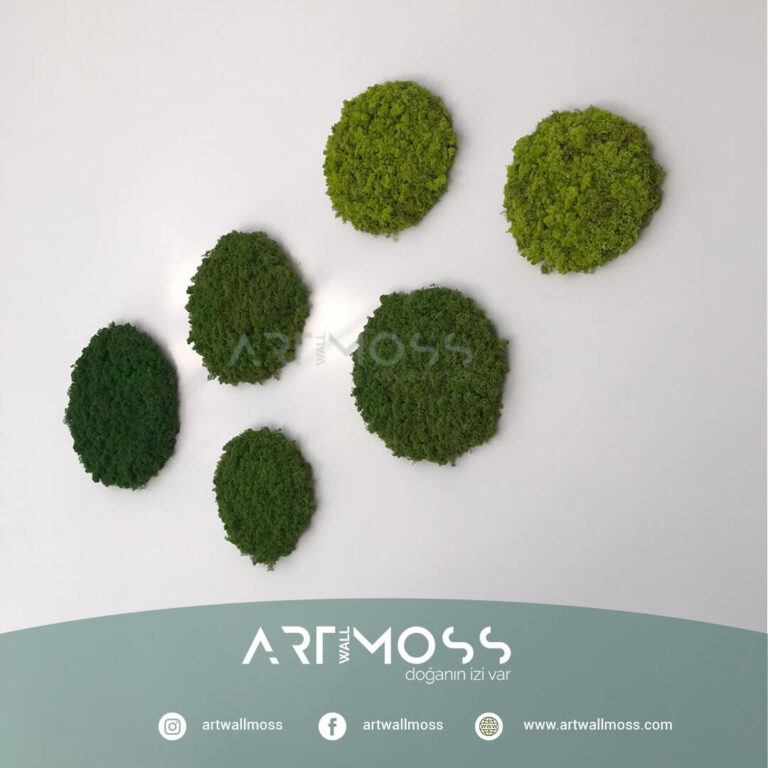 Lichen Moss Tasarımı