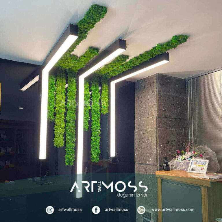 Lichen Moss Tasarımı