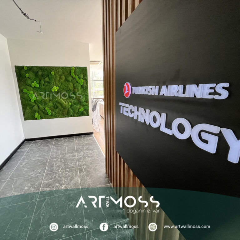 Ball Moss Tasarımı