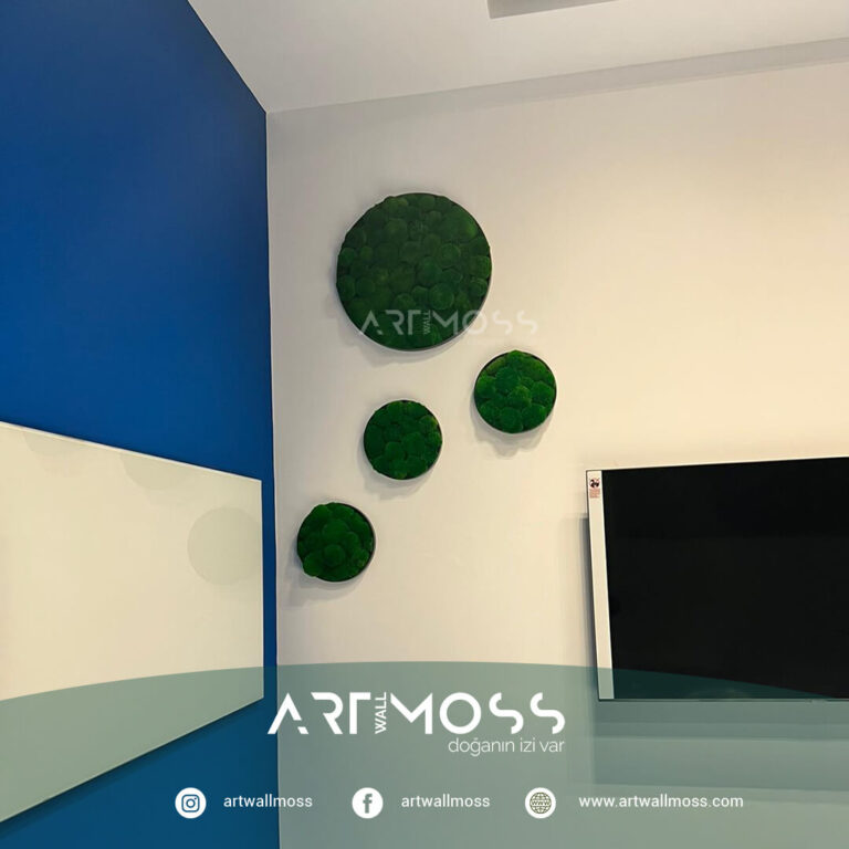 SunExpress İzmir Ofis Ball Moss Uygyulaması