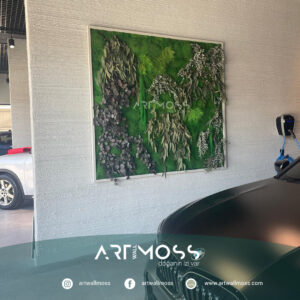 Özgörkey Yosun Tablo